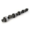 Comp Cams CRS XE262H-10