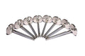 COMP Cams Ss Valves SBC Int 2.020in 11/3 6004-8