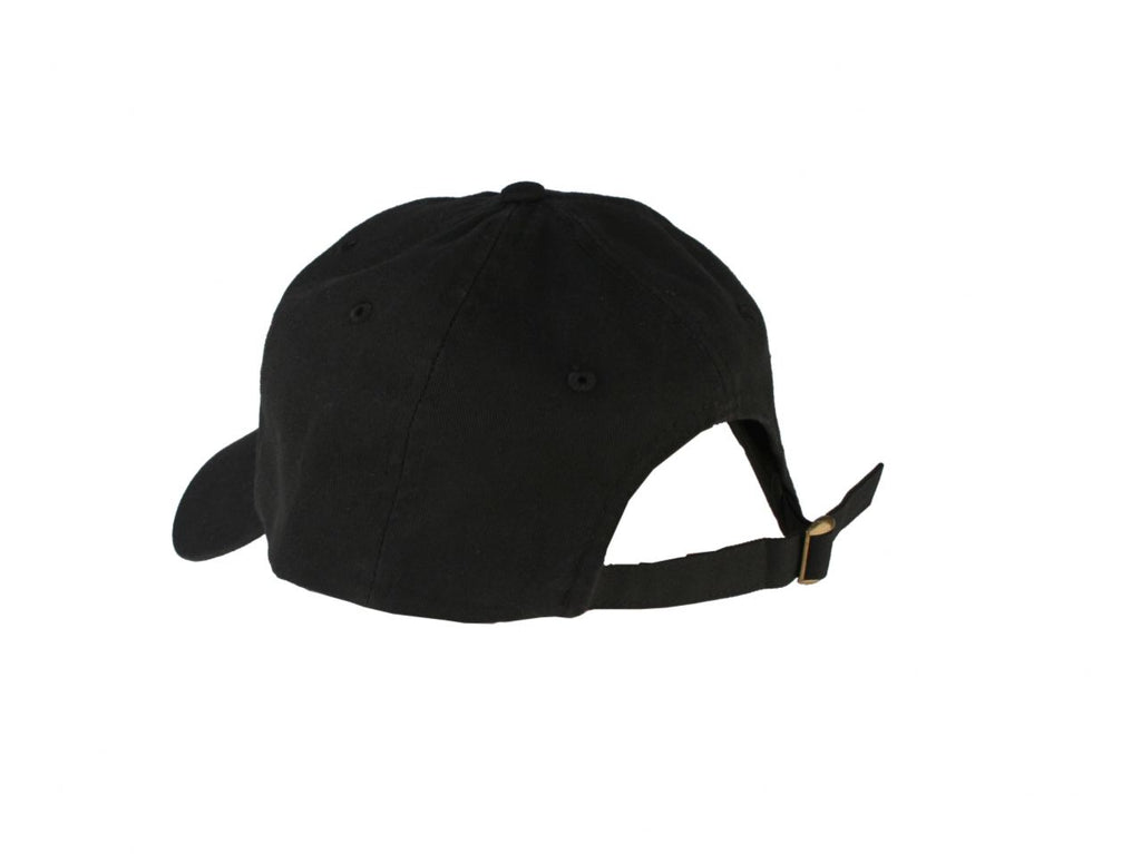 Aeromotive Hat with  Logo