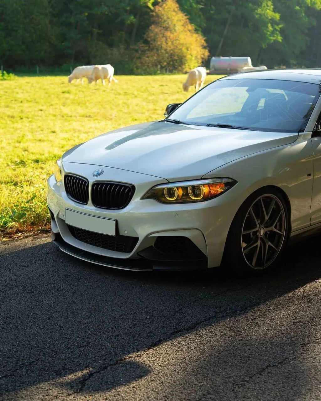 BMW 2 Series F87 DRL Module (2014-2021)