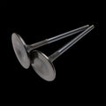 Brian Crower Polaris Pro-R (21-up) Stainless Steel Exhaust Valves - 29.2mm (STD) - set/8 BC3801-2