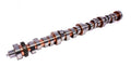 COMP Cams Camshaft FF 296BR-8 34-713-9