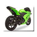 Hotbodies Transparent Smoke Undertail Kit Kawasaki Ninja 250R 2008-201 - 50802-1107