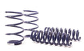 H&R Sport Spring BMW X1 sDrive28i E84 10-15