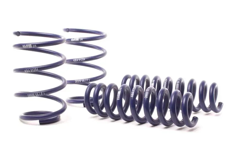 H&R Sport Spring BMW X1 sDrive28i E84 10-15