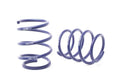 H&R Sport Springs BMW E60 5 Series w/Self Leveling 04-10