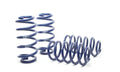 H&R Race Springs Audi A6 Quattro AWD 98-04