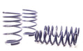 H&R Race Springs BMW 325i Sedan E90 2006