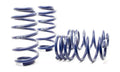 H&R Sport Spring Volkswagen Passat Sedan, Passat Wagon W8 02-05